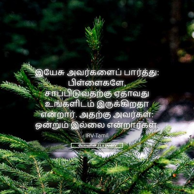 Picture 05 - யோவான் 21:5 TAMIRV - இயேசு அவர்களைப் - Bible Verse Picture