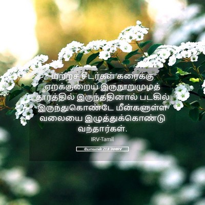 Picture 05 - யோவான் 21:8 TAMIRV - மற்றச் சீடர்கள் - Bible Verse Picture