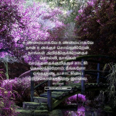 Picture 05 - யோவான் 3:11 TAMIRV - உண்மையாகவே - Bible Verse Picture