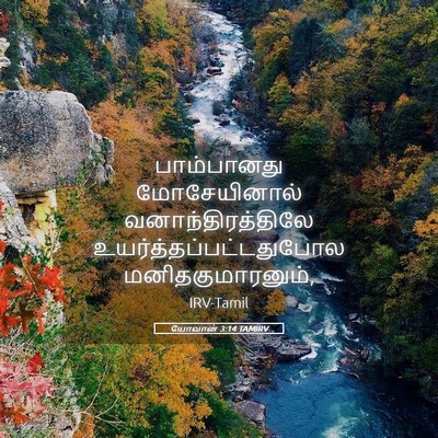 Picture 05 - யோவான் 3:14 TAMIRV - பாம்பானது - Bible Verse Picture
