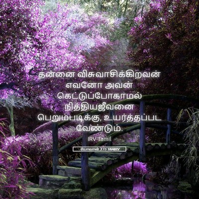Picture 05 - யோவான் 3:15 TAMIRV - தன்னை - Bible Verse Picture