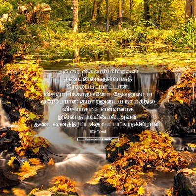 Picture 05 - யோவான் 3:18 TAMIRV - அவரை - Bible Verse Picture