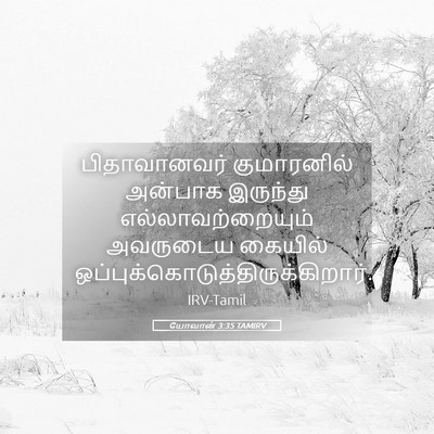 Picture 05 - யோவான் 3:35 TAMIRV - பிதாவானவர் - Bible Verse Picture