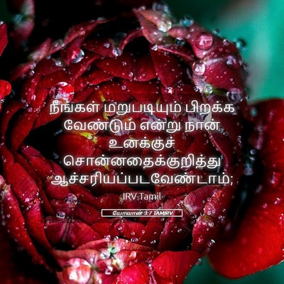 Picture 05 - யோவான் 3:7 TAMIRV - நீங்கள் - Bible Verse Picture