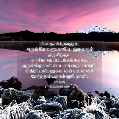 Picture 05 - யோவான் 4:36 TAMIRV - விதைக்கிறவனும், - Bible Verse Picture