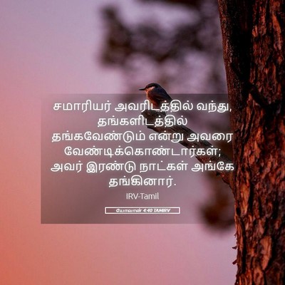 Picture 05 - யோவான் 4:40 TAMIRV - சமாரியர் - Bible Verse Picture