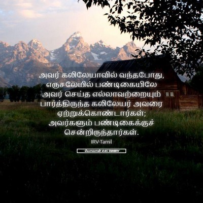 Picture 05 - யோவான் 4:45 TAMIRV - அவர் கலிலேயாவில் - Bible Verse Picture