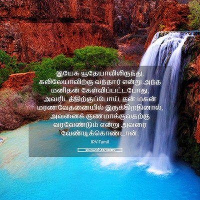 Picture 05 - யோவான் 4:47 TAMIRV - இயேசு - Bible Verse Picture