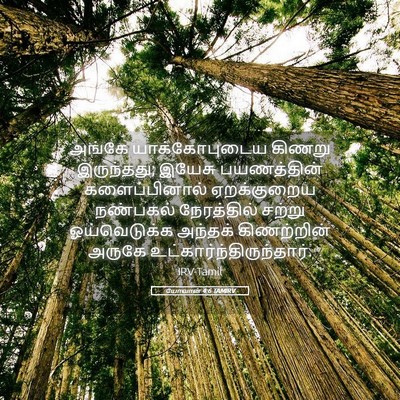 Picture 05 - யோவான் 4:6 TAMIRV - அங்கே யாக்கோபுடைய - Bible Verse Picture