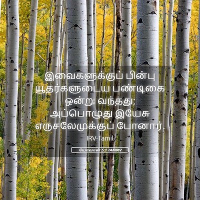 Picture 05 - யோவான் 5:1 TAMIRV - இவைகளுக்குப் - Bible Verse Picture