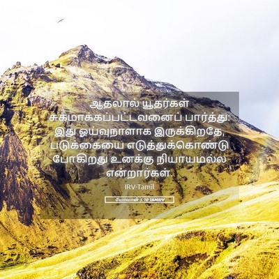 Picture 05 - யோவான் 5:10 TAMIRV - ஆதலால் யூதர்கள் - Bible Verse Picture