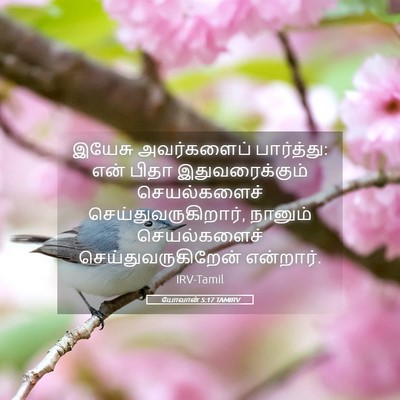 Picture 05 - யோவான் 5:17 TAMIRV - இயேசு அவர்களைப் - Bible Verse Picture