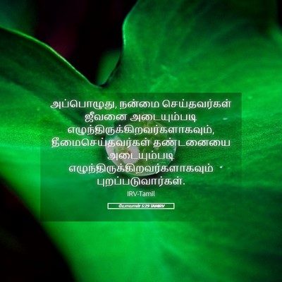 Picture 05 - யோவான் 5:29 TAMIRV - அப்பொழுது, நன்மை - Bible Verse Picture