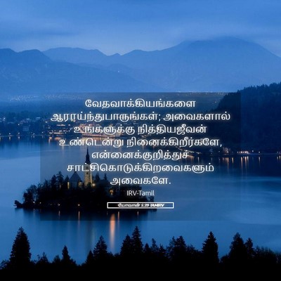 Picture 05 - யோவான் 5:39 TAMIRV - வேதவாக்கியங்களை - Bible Verse Picture