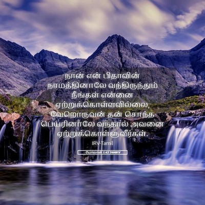 Picture 05 - யோவான் 5:43 TAMIRV - நான் என் பிதாவின் - Bible Verse Picture