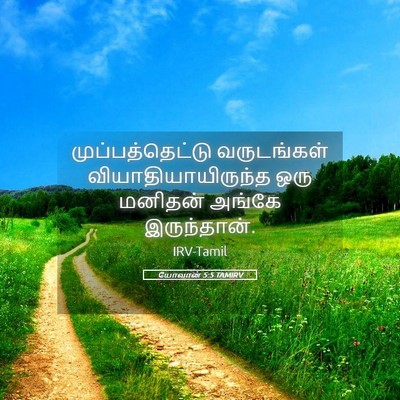 Picture 05 - யோவான் 5:5 TAMIRV - முப்பத்தெட்டு - Bible Verse Picture