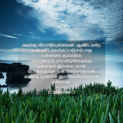 Picture 05 - யோவான் 5:7 TAMIRV - அதற்கு - Bible Verse Picture