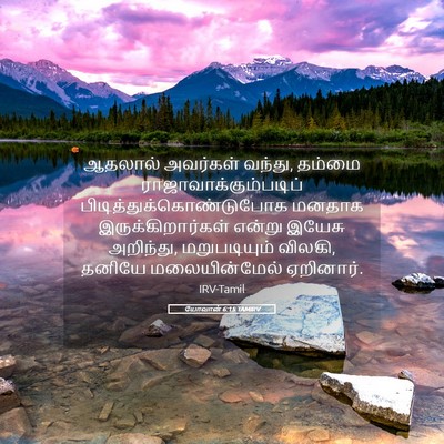 Picture 05 - யோவான் 6:15 TAMIRV - ஆதலால் அவர்கள் - Bible Verse Picture