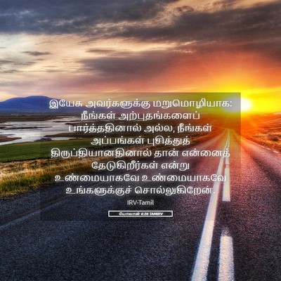 Picture 05 - யோவான் 6:26 TAMIRV - இயேசு அவர்களுக்கு - Bible Verse Picture