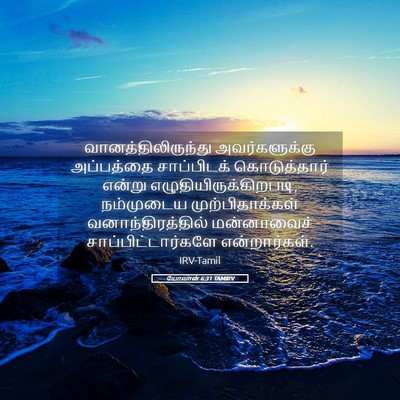 Picture 05 - யோவான் 6:31 TAMIRV - வானத்திலிருந்து - Bible Verse Picture
