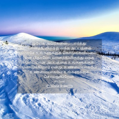 Picture 05 - யோவான் 6:32 TAMIRV - இயேசு அவர்களைப் - Bible Verse Picture