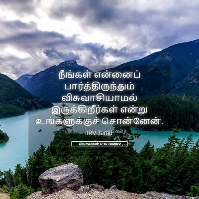 Picture 05 - யோவான் 6:36 TAMIRV - நீங்கள் என்னைப் - Bible Verse Picture