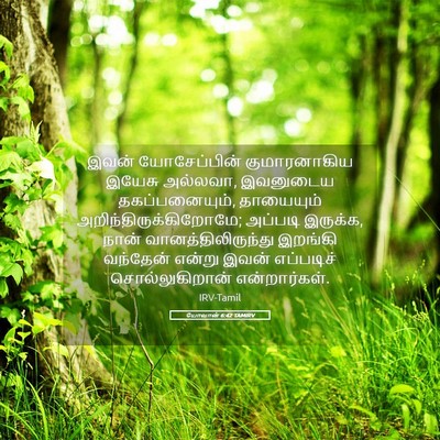Picture 05 - யோவான் 6:42 TAMIRV - இவன் யோசேப்பின் - Bible Verse Picture