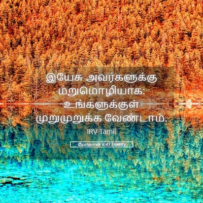 Picture 05 - யோவான் 6:43 TAMIRV - இயேசு அவர்களுக்கு - Bible Verse Picture