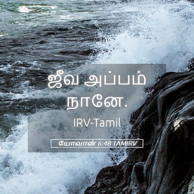 Picture 05 - யோவான் 6:48 TAMIRV - ஜீவ அப்பம் - Bible Verse Picture
