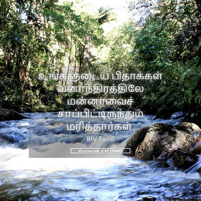 Picture 05 - யோவான் 6:49 TAMIRV - உங்களுடைய - Bible Verse Picture
