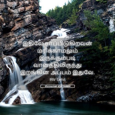 Picture 05 - யோவான் 6:50 TAMIRV - இதிலே - Bible Verse Picture