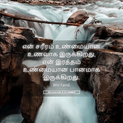 Picture 05 - யோவான் 6:55 TAMIRV - என் சரீரம் - Bible Verse Picture