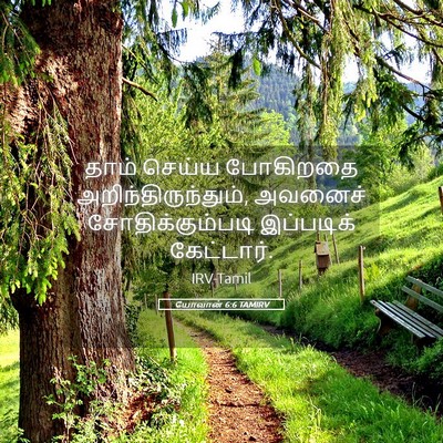 Picture 05 - யோவான் 6:6 TAMIRV - தாம் செய்ய - Bible Verse Picture