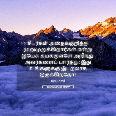 Picture 05 - யோவான் 6:61 TAMIRV - சீடர்கள் - Bible Verse Picture