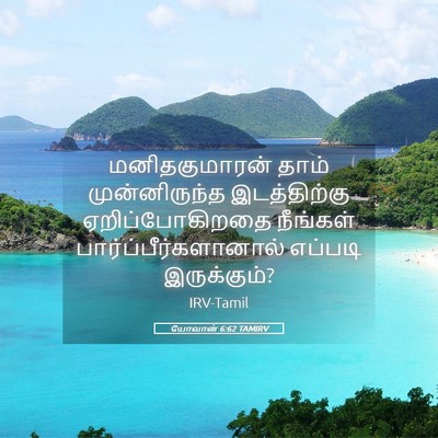 Picture 05 - யோவான் 6:62 TAMIRV - மனிதகுமாரன் தாம் - Bible Verse Picture