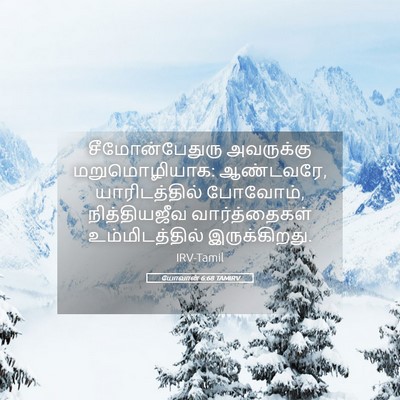 Picture 05 - யோவான் 6:68 TAMIRV - சீமோன்பேதுரு - Bible Verse Picture