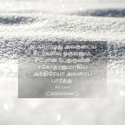 Picture 05 - யோவான் 6:8 TAMIRV - அப்பொழுது அவருடைய - Bible Verse Picture