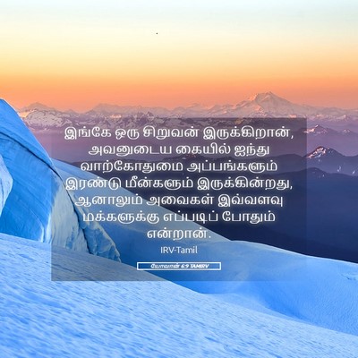 Picture 05 - யோவான் 6:9 TAMIRV - இங்கே ஒரு சிறுவன் - Bible Verse Picture