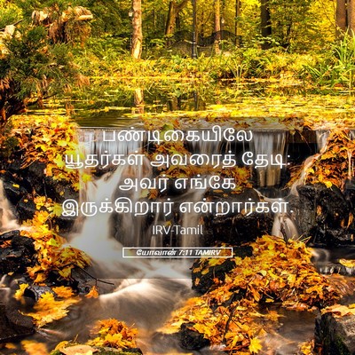Picture 05 - யோவான் 7:11 TAMIRV - பண்டிகையிலே - Bible Verse Picture