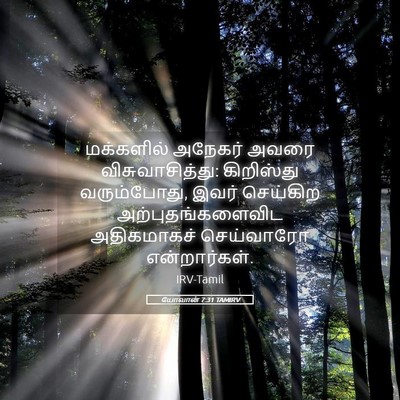 Picture 05 - யோவான் 7:31 TAMIRV - மக்களில் அநேகர் - Bible Verse Picture