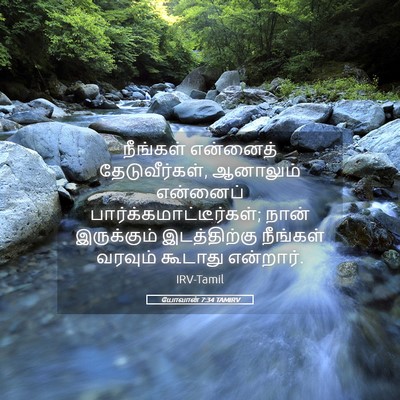 Picture 05 - யோவான் 7:34 TAMIRV - நீங்கள் என்னைத் - Bible Verse Picture