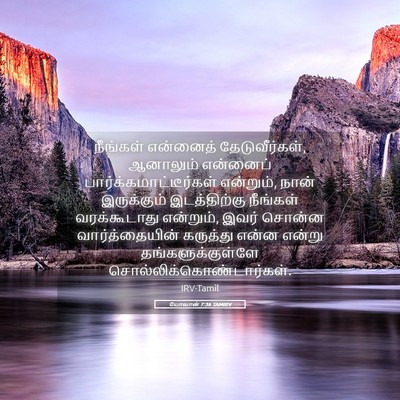 Picture 05 - யோவான் 7:36 TAMIRV - நீங்கள் என்னைத் - Bible Verse Picture