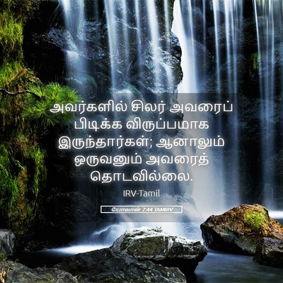 Picture 05 - யோவான் 7:44 TAMIRV - அவர்களில் சிலர் - Bible Verse Picture