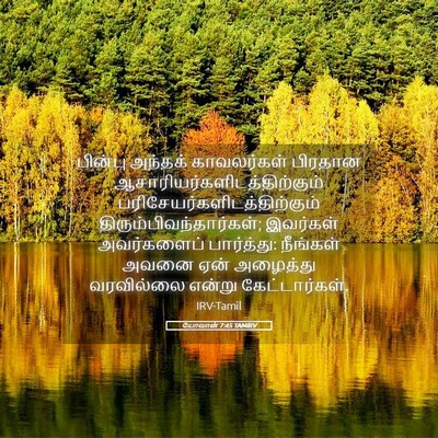 Picture 05 - யோவான் 7:45 TAMIRV - பின்பு அந்தக் - Bible Verse Picture