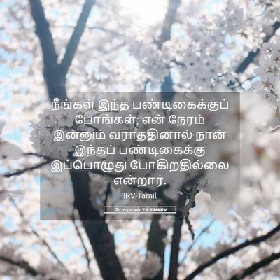 Picture 05 - யோவான் 7:8 TAMIRV - நீங்கள் இந்த - Bible Verse Picture