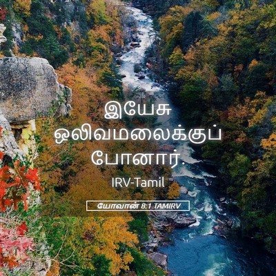 Picture 05 - யோவான் 8:1 TAMIRV - இயேசு - Bible Verse Picture