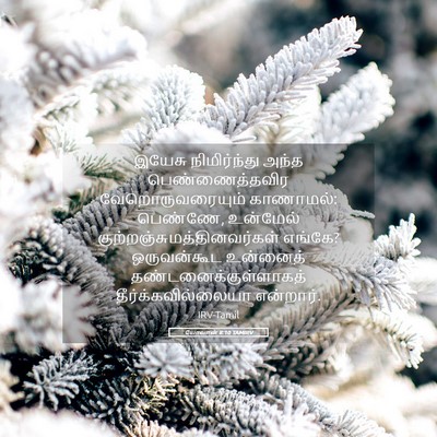 Picture 05 - யோவான் 8:10 TAMIRV - இயேசு நிமிர்ந்து - Bible Verse Picture
