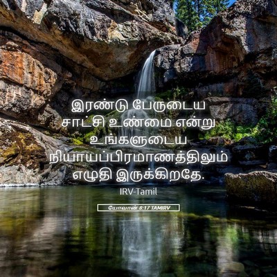 Picture 05 - யோவான் 8:17 TAMIRV - இரண்டு பேருடைய - Bible Verse Picture