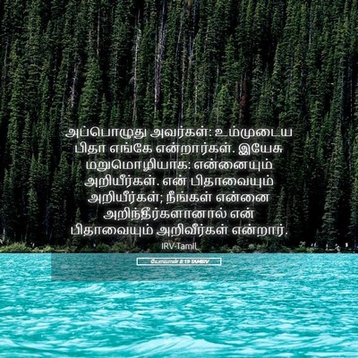Picture 05 - யோவான் 8:19 TAMIRV - அப்பொழுது - Bible Verse Picture