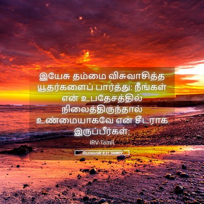 Picture 05 - யோவான் 8:31 TAMIRV - இயேசு தம்மை - Bible Verse Picture